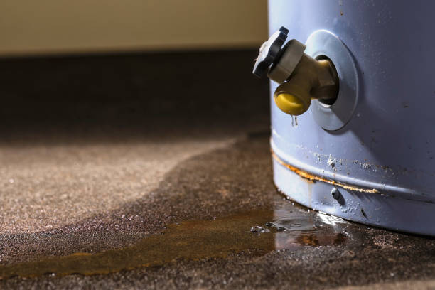 Best 24-hour water damage restoration  in Plainfield Village, CT