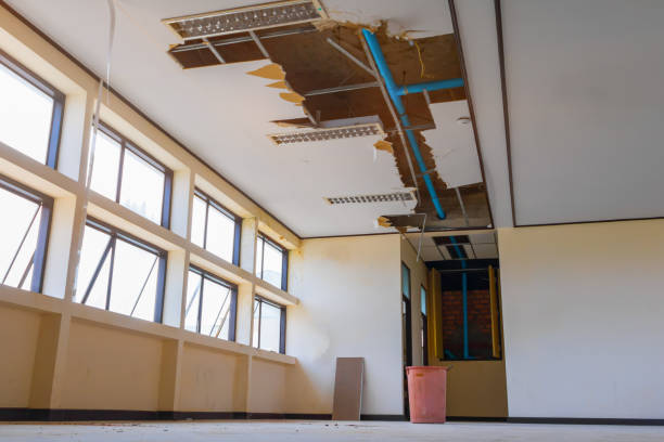 Best Water damage restoration experts  in Plainfield Village, CT