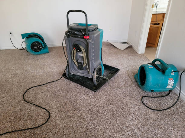 Best Flooded house restoration  in Plainfield Village, CT