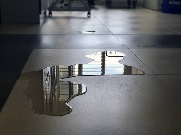 Best Commercial water damage restoration  in Plainfield Village, CT