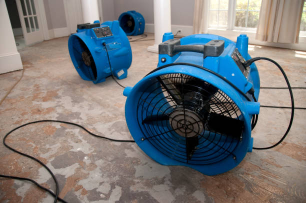Best Water damage contractors near me  in Plainfield Village, CT