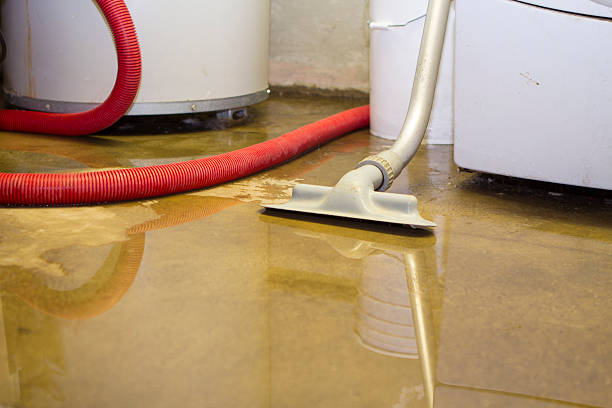 Best 24/7 water damage repair  in Plainfield Village, CT