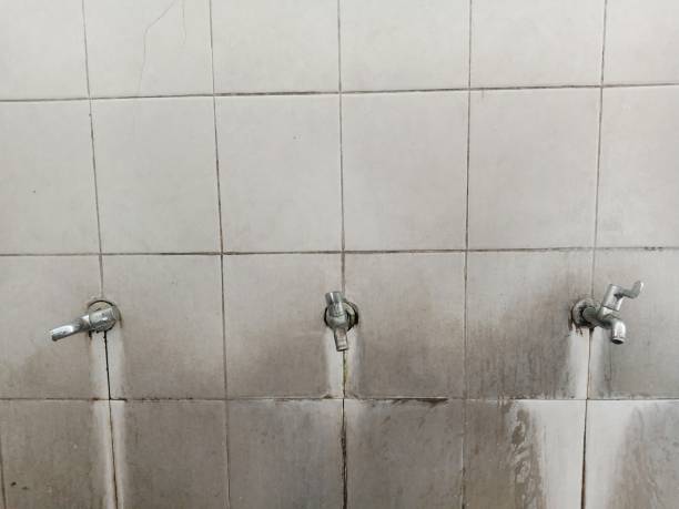 Best Water damage restoration cost  in Plainfield Village, CT