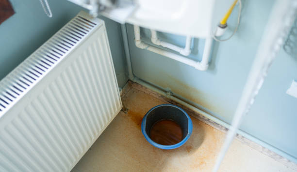 Best Water damage restoration near me  in Plainfield Village, CT