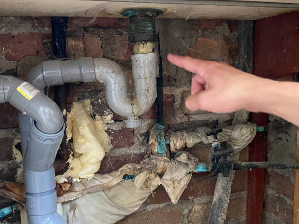 Best Professional water damage repair  in Plainfield Village, CT