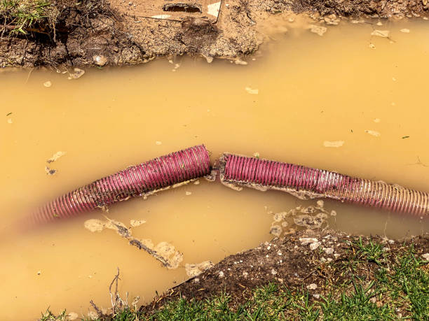 Best Local water damage restoration  in Plainfield Village, CT