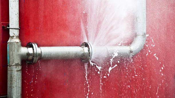 Best 24/7 water damage repair  in Plainfield Village, CT